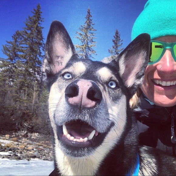 Meet your Posher, Barb - Picture 1 of 1